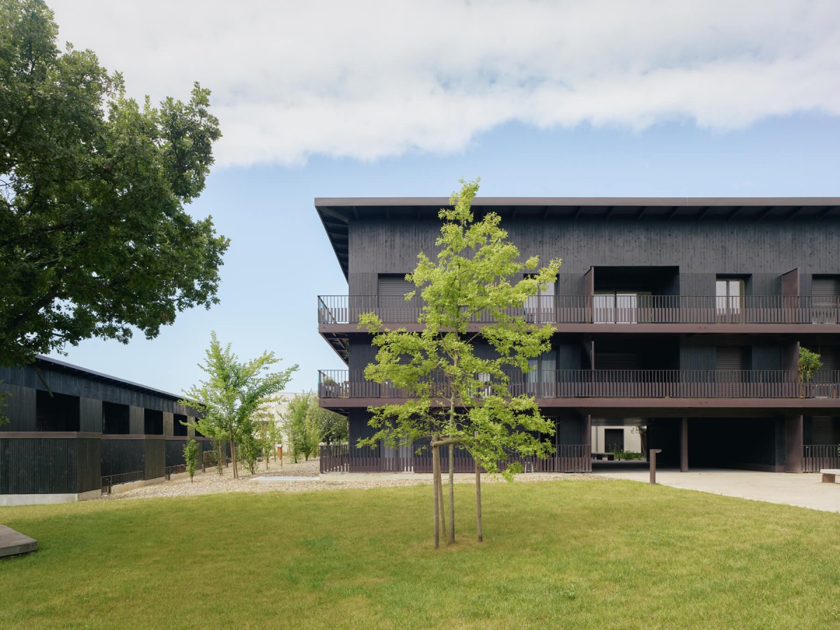 05_monges-croix-du-sud