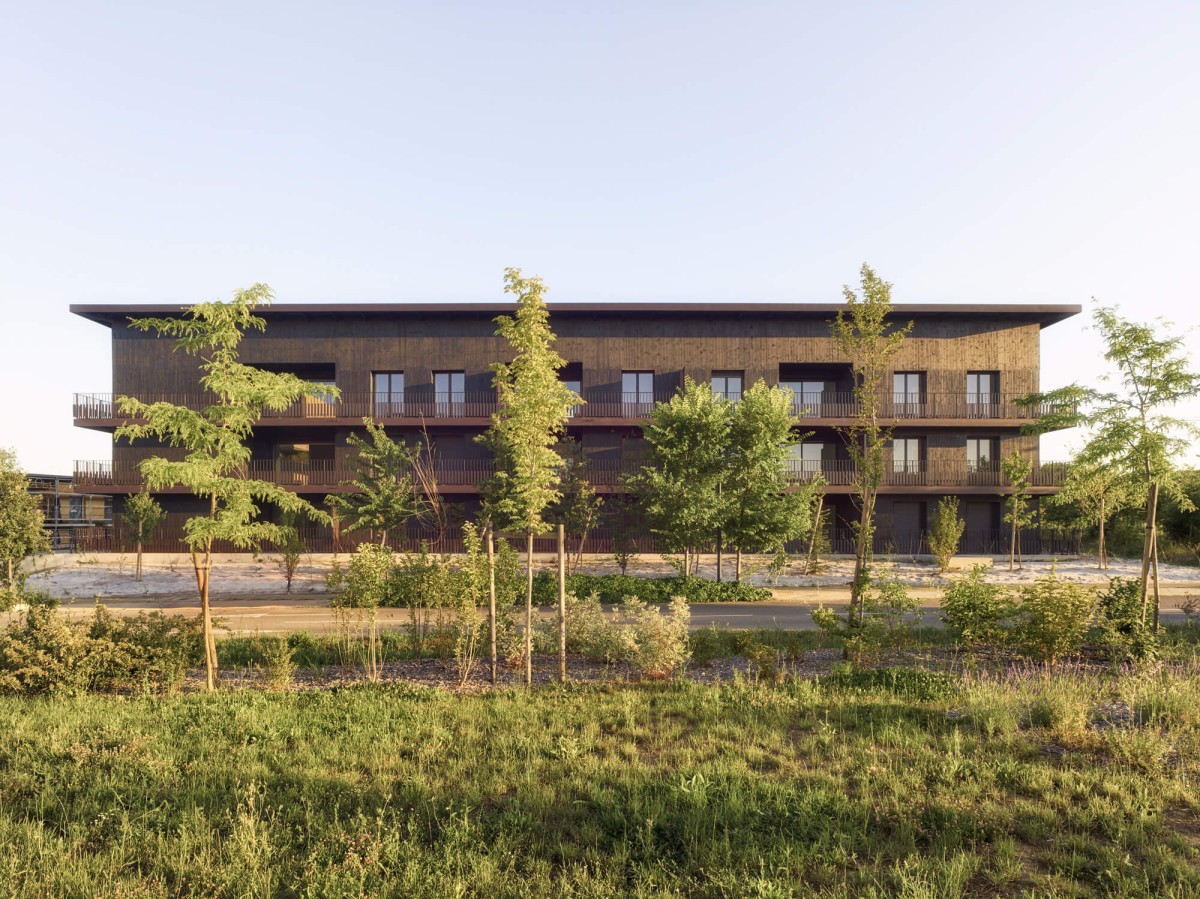 03_monges-croix-du-sud